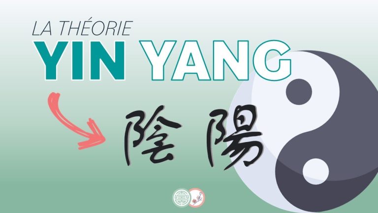 #1 – La théorie du YIN YANG en Médecine Traditionnelle Chinoise