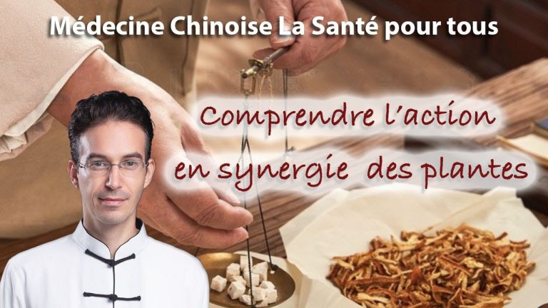 Pharmacopée chinoise, la synergie des plantes. Explication de la formule Xia Qi Tang