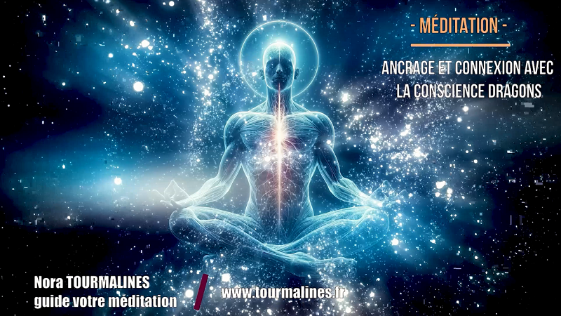 ANCRAGE ET CONNEXION AVEC LA CONSCIENCE DRAGON
