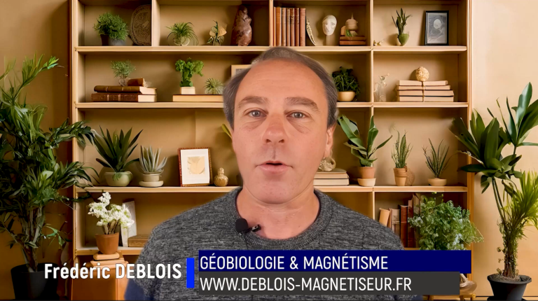 LES ASTUCES DE FRED N°18 RÉALITÉ OU SIMULATION